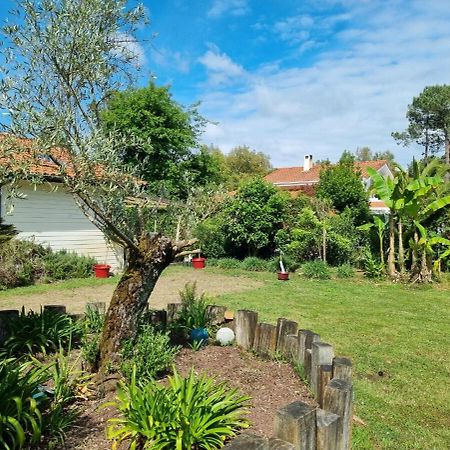 Villa House With Heated Pool And Jacuzzi Soorts-Hossegor Esterno foto