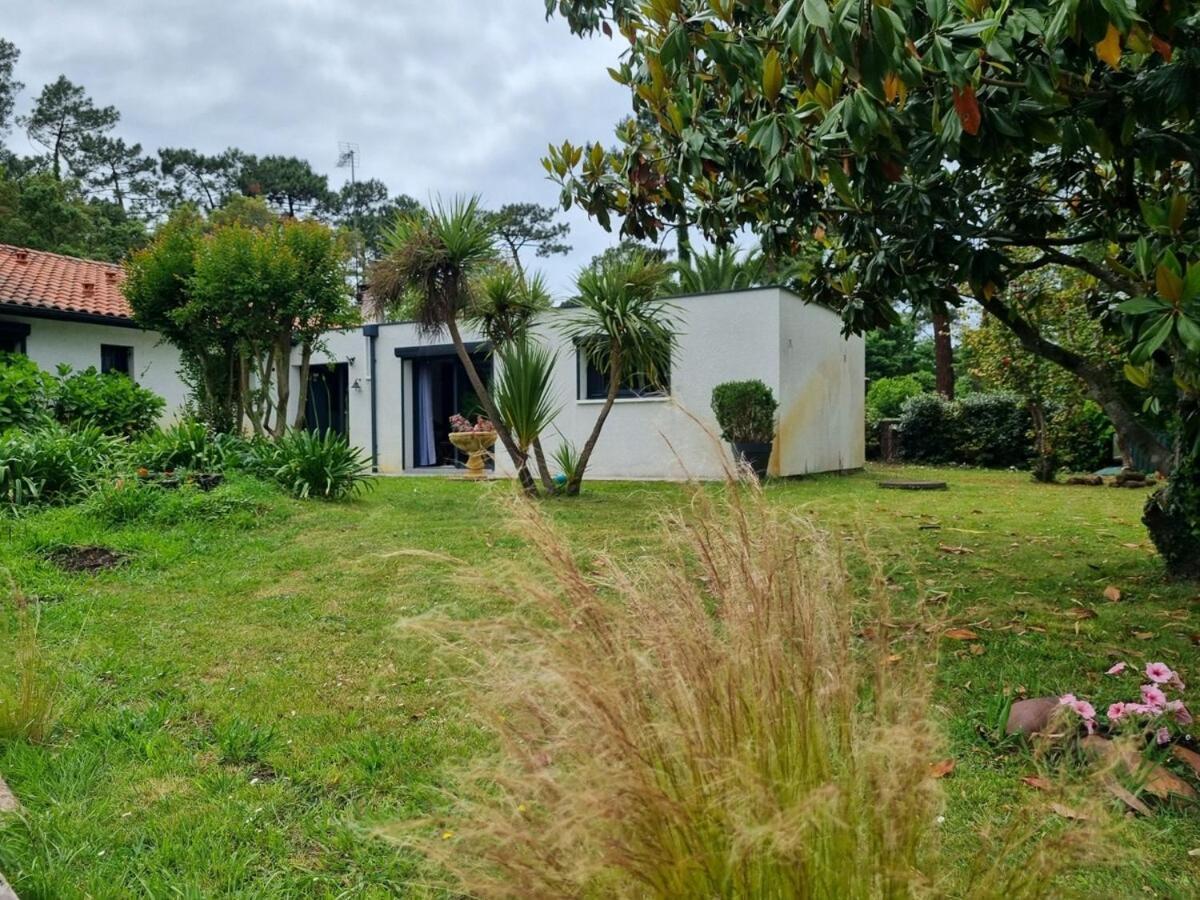 Villa House With Heated Pool And Jacuzzi Soorts-Hossegor Esterno foto