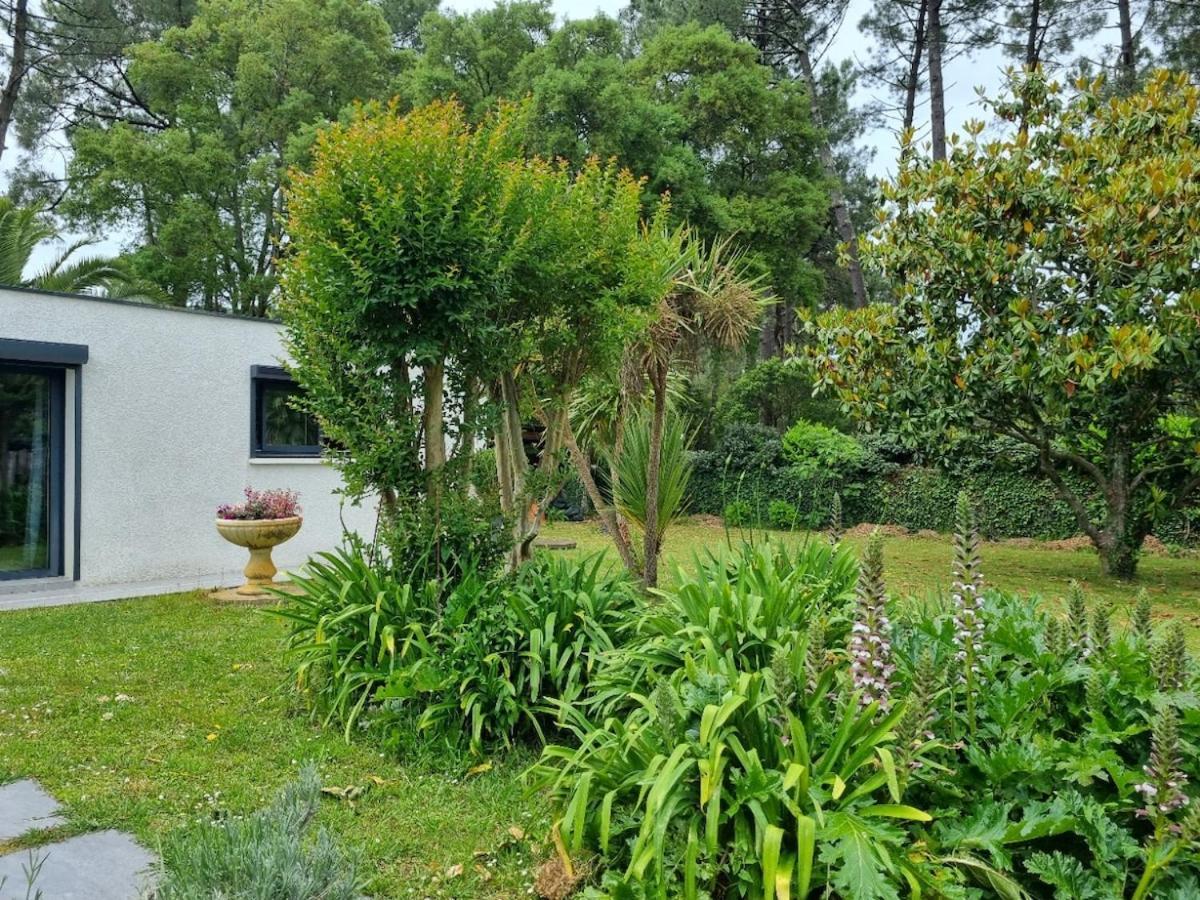 Villa House With Heated Pool And Jacuzzi Soorts-Hossegor Esterno foto