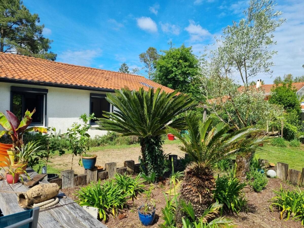 Villa House With Heated Pool And Jacuzzi Soorts-Hossegor Esterno foto